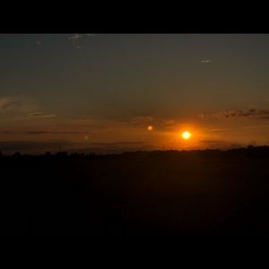 Meet your Posher, Harmony